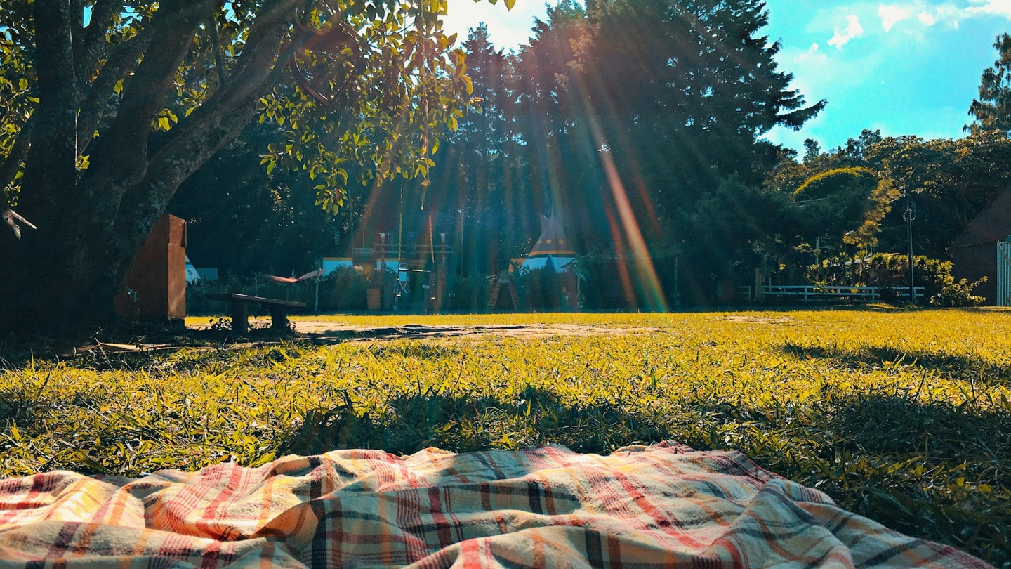 Günübirlik Piknik Turları